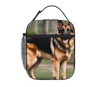 YYHHAOFA Sac à déjeuner isotherme portable, motif berger allemand, sac à déjeuner réutilisable, durable, pour homme et femme, facile à transporter