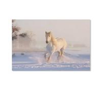 YYHMKBYY 5D Diamant Peinture Kit,Cheval Blanc dans la Neige,Diamond Painting Kit Pour Adultes Strass DéCoration Murale De Bar(40x50cm)-D14