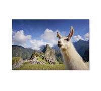 YYHMKBYY 5D DIY Kits De Peinture Diamant Pour Adultes,Lama au Machu Picchu, Pérou,Diamond Painting Arts Strass Complet Diamant Broderie Point De Croix (40x40cm)-C59