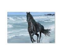 YYHMKBYY Cheval Noir Au Bord De La Mer,5d Diamant Painting,Diamond Painting,Point De Croix Broderie Diamond Painting Kits Maison Décoration Murale(40x40cm)-D40