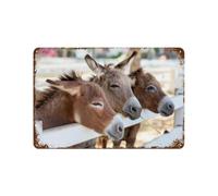 YYHMKBYY Plaque humoristique en métal，Trois Ânes À La Ferme，Décoration murale rétro pour maison, cuisine, salle à manger, bar, café, restaurant, club, grotte(30x40cm 12x16 inch-443