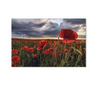 YYHMKBYY Puzzle 1000 Pièces, Coquelicots Rouges, Photographique, Jigsaw, 38x26cm, Papier, 8 ans et plus