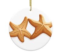 YYHWHJDE Arbre de Noël rond en céramique à suspendre avec étoiles de mer jumeaux - 7,4 cm - Ajoutez une atmosphère à la fête de vacances