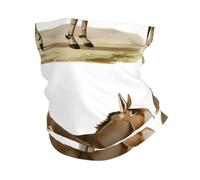 YYHWHJDE Bandeau de sport multifonction avec imprimé âne mignon : le superbe plaid d'aventure pour la randonnée, le vélo et plus encore