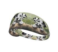 YYHWHJDE Bandeau de sport pour femme avec image dalmatienne mignonne et résistante à la transpiration