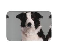 YYHWHJDE Border Collie Tapis de bain lavable de haute qualité pour un spa bien conçu et facile à nettoyer 40 x 60 cm