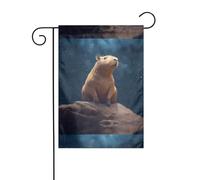 YYHWHJDE Capybara Mât de drapeau de jardin avec étoiles atteignant les deux côtés 30,5 x 45,7 cm