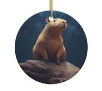 YYHWHJDE Capybara Pendentif rond en céramique à suspendre Motif arbre de Noël Atteindre les étoiles - 7,4 cm exquis et durable