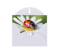 YYHWHJDE Carte de vœux blanche Motif coccinelle sur marguerite Idéal pour la Saint-Valentin, un anniversaire de mariage et des invitations de fête