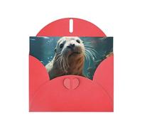 YYHWHJDE Carte de vœux rouge avec imprimé phoque dans l'eau pour Noël, anniversaire d'enfant, Saint-Valentin et invitation à une fête
