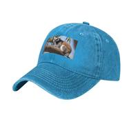 YYHWHJDE Casquette de baseball de cowboy noire avec imprimé lémurien à queue annelée, chapeau réglable en coton pour homme et femme, respirant et élégant, bleu, Taille unique