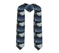 YYHWHJDE Châle de remise de diplôme aplati avec motif aigle sous les étoiles - Étole en satin pour cérémonie de remise de diplôme, cadeau pour fils, filles, amis et sœurs, coin pointu, Taille unique