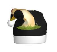 YYHWHJDE Chapeau de Noël imprimé canari sur un champignon pour adulte, ce qui en fait un cadeau amusant et durable pour homme et femme