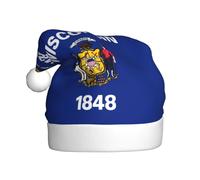 YYHWHJDE Chapeau de Noël imprimé drapeau de l'État du Wisconsin pour adulte, ce qui en fait un cadeau amusant et durable pour homme et femme