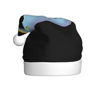 YYHWHJDE Chapeau de Noël imprimé oiseaux sur l'arc-en-ciel pour adulte, ce qui en fait un cadeau amusant et durable pour homme et femme