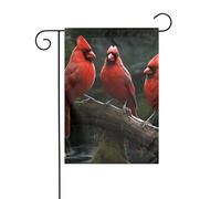 YYHWHJDE Drapeau de jardin motif faune et oiseaux rouges 30,5 x 45,7 cm