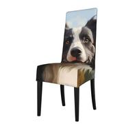 YYHWHJDE Housse de protection pour chaise de salle à manger Border Collie Picture - Doux, confortable, nécessaire extensible pour la plupart des chaises sans accoudoirs