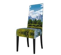 YYHWHJDE Housse de protection pour chaise de salle à manger Grand Teton National Park Prints - Doux, confortable, nécessaire extensible pour la plupart des chaises sans accoudoirs