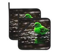 YYHWHJDE Kingfisher Lot de 2 tapis isolants carrés épais et durables avec cordon pour fours à micro-ondes, fours et grillades en plein air