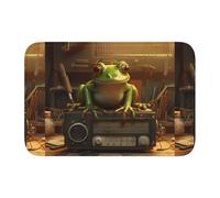 YYHWHJDE Little Frog by the Radio Tapis de sol antidérapant et épais lavable pour salle de bain, chambre à coucher, 40,6 x 61 cm
