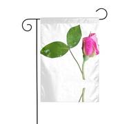 YYHWHJDE Mât de drapeau de jardin à motif de bourgeons de lune - Décoration extérieure - Double face - 30,5 x 45,7 cm