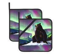 YYHWHJDE Northern Lights Lot de 2 tapis de pot carrés isolés, épais, imperméables, faciles à nettoyer