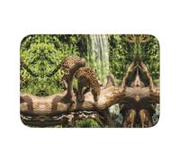 YYHWHJDE Panther on Tree Trunk Waterfall Hem Mat 40 x 60 cm - Housse de bain bien conçue pour un confort semblable au spa et un style facile