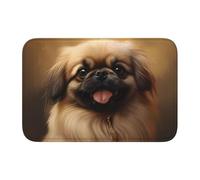 YYHWHJDE Pekingese Dog Picture Tapis de sol en velours avec bord verrouillable pour chambre à coucher, salon, dortoir, décoration de la maison