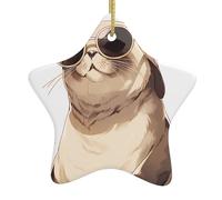 Yyhwhjde Pendentif en forme d'étoile à suspendre en céramique Motif petit sceau spécialement conçu pour les vacances 7,9 x 7,9 cm