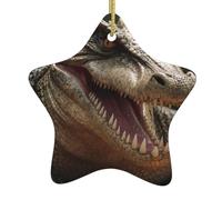 Yyhwhjde Pendentif en forme d'étoile de Noël en céramique avec dents de crocodile pointues et trous soigneusement percés Corde en métal