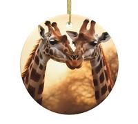 YYHWHJDE Pendentif rond en céramique à suspendre en forme de sapin de Noël avec deux girafes - 7,4 cm - Porcelaine blanche exquise - Suspension facile