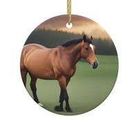 YYHWHJDE Pendentif rond en céramique avec motifs de chevaux naturels - 7,4 cm - Décorations de vacances
