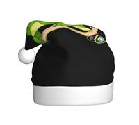 YYHWHJDE Petit dinosaure vert sur planche à roulettes imprimé chapeau de Noël durable pour adulte pour Halloween, Noël, Nouvel An