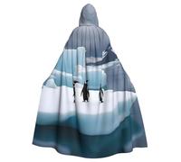 YYHWHJDE Pingouins On The Iceberg Cape à capuche imprimée de qualité pour adulte, convient pour Halloween, cosplay, Noël
