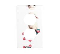 YYHWHJDE Planche à roulettes rétro motif agneau double panneau mural décoratif pour zones résidentielles et commerciales 11,4 x 7 cm