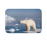 YYHWHJDE Polar Bear Ice Picture Tapis de sol antidérapant et épais pour salle de bain, chambre à coucher, lavable, 40,6 x 61 cm
