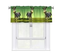 YYHWHJDE Rideaux courts avec tringle à cantonnière - 137,2 x 45,7 cm - Motif âne - Pour cuisine, salle de bain, buanderie, studio - S'adapte à la plupart des tringles à rideaux standard ou décoratives