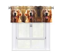 YYHWHJDE Rideaux courts avec tringle à cantonnière - Motif chien Golden Retriever - Pour cuisine, salle de bain, buanderie, studio - 137 x 45 cm