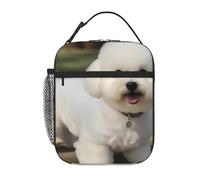 YYHWHJDE Sac à déjeuner isotherme portable, motif bichon frisé, réutilisable, durable, pour homme et femme