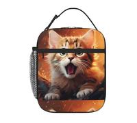 YYHWHJDE Sac à déjeuner isotherme portable, motif chaton surpris - Sac à déjeuner réutilisable durable pour homme et femme - Facile à transporter