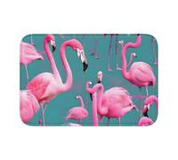 YYHWHJDE Tapis de sol antidérapant et épais pour salle de bain, chambre à coucher, lavable, 40,6 x 61 cm