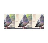 YYHWHJDE Tapis de souris extra large avec imprimé pigeons sur l'avant-toit pour ordinateur, bureau, clavier de jeu, version épaisse, 30,5 x 80 cm