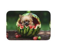 YYHWHJDE The Puppy in The Watermelon Tapis de sol antidérapant et épais lavable pour salle de bains, chambre à coucher, 40,6 x 61 cm