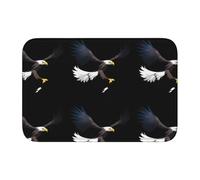 YYHWHJDE The Shadow of The Eagle Picture Crystal Velvet Lock Edge Tapis de sol pour chambre à coucher, salon, dortoir, décoration de la maison