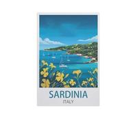 YYNFHCBS Peinture par Numero Adulte，Sardaigne, Italie，DIY Acryliques Peinture,Kit de Peinture à l'huile sur Toile pour Débutants avec Brosses et Acryliques Peintures pour Maison Décor（20x30cm）-J60
