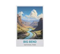 YYNFHCBS Peinture par Numero，Parc national de Big Bend，avec pinceaux et pigments acryliques Peinture sur Toile pour Adultes et débutants（40x50cm） 15.7x19.6 pouces-H47
