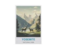 YYNFHCBS Peinture par numéros pour adulte，Parc national de Yosemite，Kit de peinture à l'huile sur toile DIY avec pinceaux（50x60cm） 19.6x23.6 pouces-H41