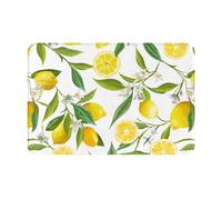 Yyoretp Paillasson antidérapant ultra absorbant imprimé citrons tropicaux frais pour intérieur et extérieur, 60 x 40 cm