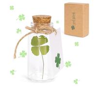 YYSWSAKY Porte-bonheur, véritable trèfle à quatre feuilles dans une bouteille en verre avec bouchon, cadeau de remerciement, examen porte-bonheur, petit cadeau pour bonheur, cadeau de mutmacher (vert)