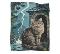 YYVKPMLXC Chat Ragamuffin Couverture Polaire en Flanelle 3D Couverture De Canapé Scène d'orage Confortable pour Filles, Garçons, Voyage 50x60inch(127x152cm)